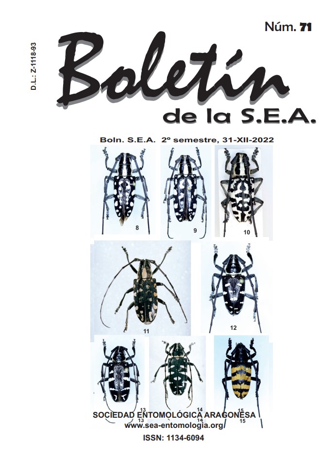 Boletín 71